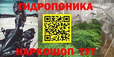 спиды Дмитров