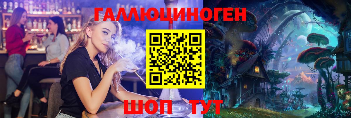 Псилоцибиновые грибы Psilocybe Бузулук