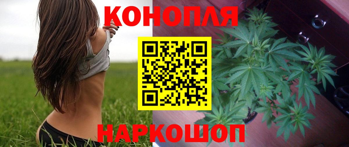 Каннабис MAZAR Бузулук